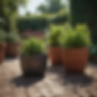 Aesthetic Designs of Planting Pots Aesthetic planting pots arranged in a garden setting