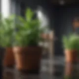 A variety of planting pots made from different materials