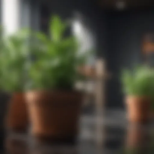 A variety of planting pots made from different materials