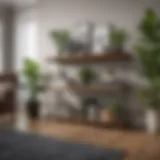 Elegant living room floor shelf showcasing decorative books and plants