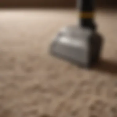 Thick pile carpet maintenance tools and products