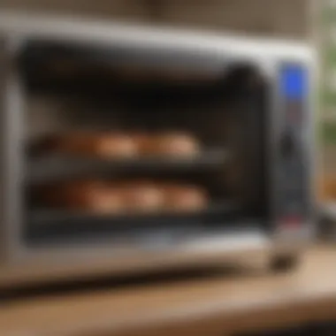 Comparison: Large vs Standard Toaster Oven Comparison of a large toaster oven with a standard model