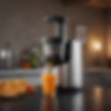 A sleek slow juicer showcasing its modern design and functionality.