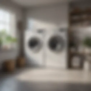 Energy-efficient washing machine in a stylish laundry room