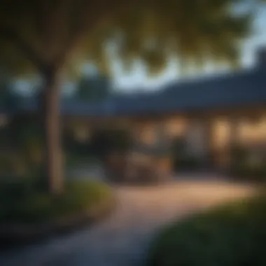 Enhancing Outdoor Living Spaces with Trees A beautiful evening scene with trees enhancing outdoor living