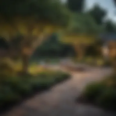 Creating a Lush Backyard with Thoughtful Tree Selection A lush backyard with well-maintained trees and landscaping