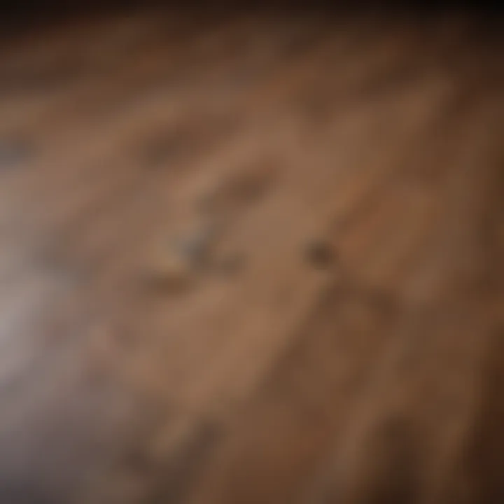 A detailed chart breaking down the costs associated with hardwood floor installation.