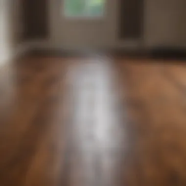 A beautifully finished hardwood floor, highlighting quality and craftsmanship.