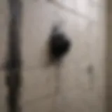 Close-up view of black mold on shower tiles