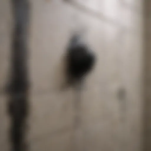 Close-up view of black mold on shower tiles