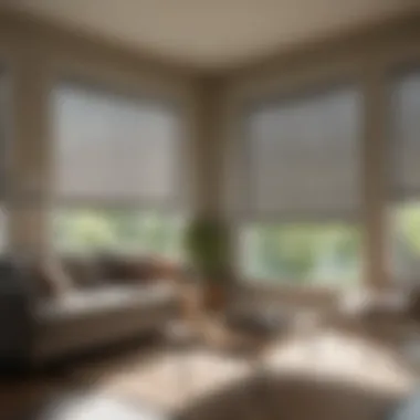 Elegant Solar Shades in a Modern Living Room Elegant solar shades enhancing a modern living room