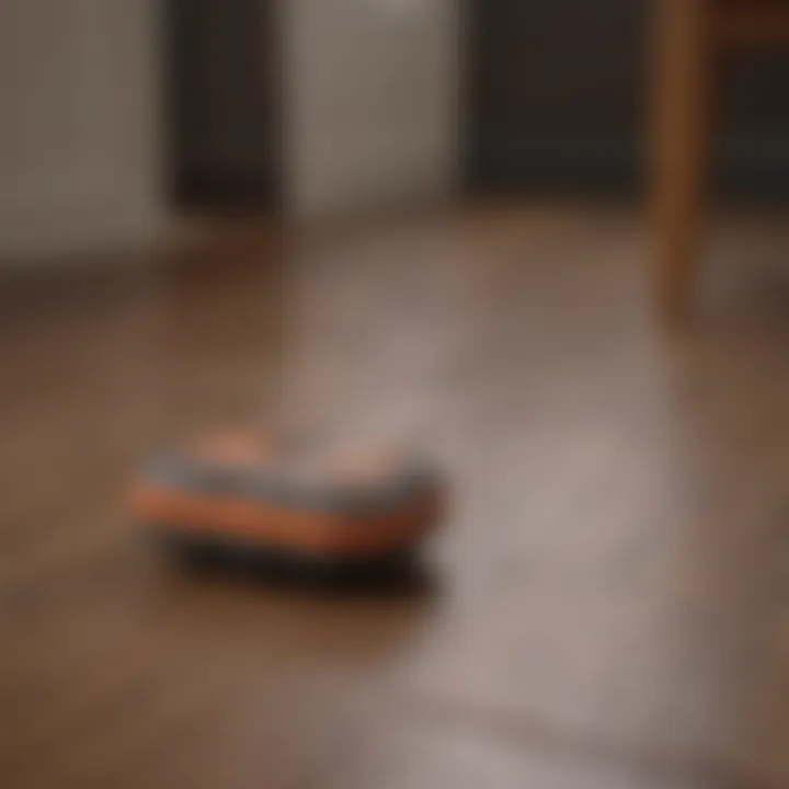 Maintenance tools and products for wood flooring care