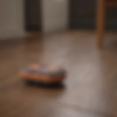 Essential Tools for Wood Flooring Maintenance Maintenance tools and products for wood flooring care