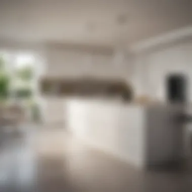 A modern white kitchen featuring sleek cabinetry and minimalist decor.