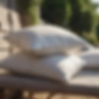 Drying goose down pillows in a sunny outdoor setting