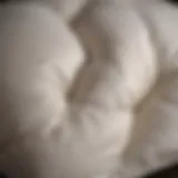 Close-up of goose down pillow with soft texture