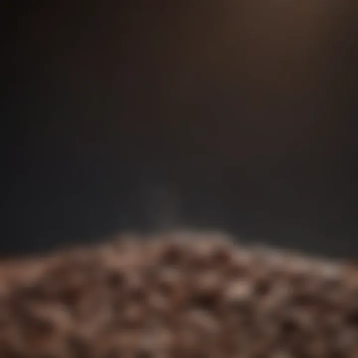 A selection of coffee beans highlighting different brewing methods.