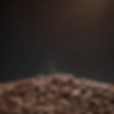 Diverse Coffee Beans for Various Brewing Techniques A selection of coffee beans highlighting different brewing methods.