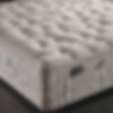 Elegant Design of Zinus Queen Mattress Zinus queen mattress showcasing its elegant design and fabric texture