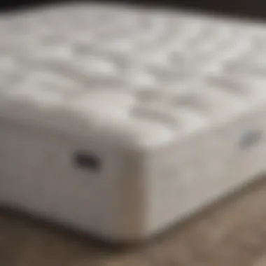 Performance Comparison of Zinus Queen Mattress Comparison chart of Zinus queen mattress performance against competitors